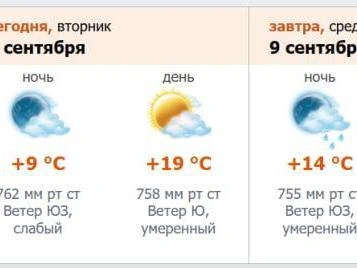 Источник: скриншот с meteo.nw.ru
