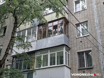 Источник: Алёна Воропаева / Voronezh1.ru