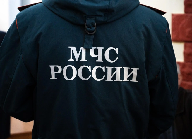 В области функционирует 21 лесопожарная станция | Источник: Евгений Вдовин / 161.RU