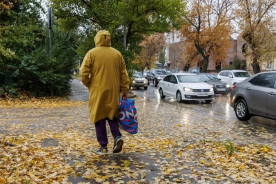 Похолодание в Волгограде: прогноз на три дня