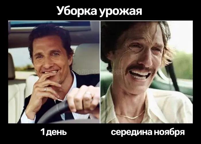 Время собирать урожай :-))
