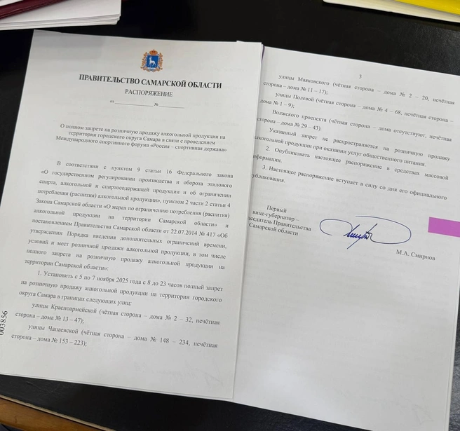 Фото бумажного варианта распоряжения глава правительства опубликовал в своем ТГ-канале | Источник: «Смирнов. Самара» / T.me