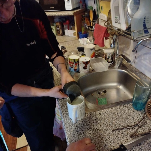 Источник: КОШКИСПАС. Спасение животных