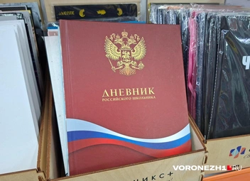 Оба таких дневника с флагом стоят всего 133 рубля | Источник: Алёна Воропаева / Voronezh1.ru