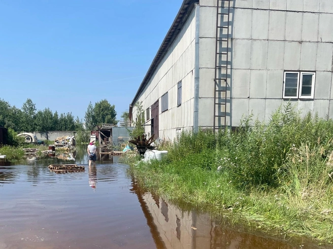 Вместе с Kiwi от паводка пострадали и соседние предприятия: в производственном ареале затопило или отрезало от суши девять производств | Источник: предоставлено Сафроновыми
