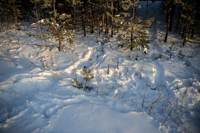 Туристы на снегоходах застряли в метель в тайге ХМАО