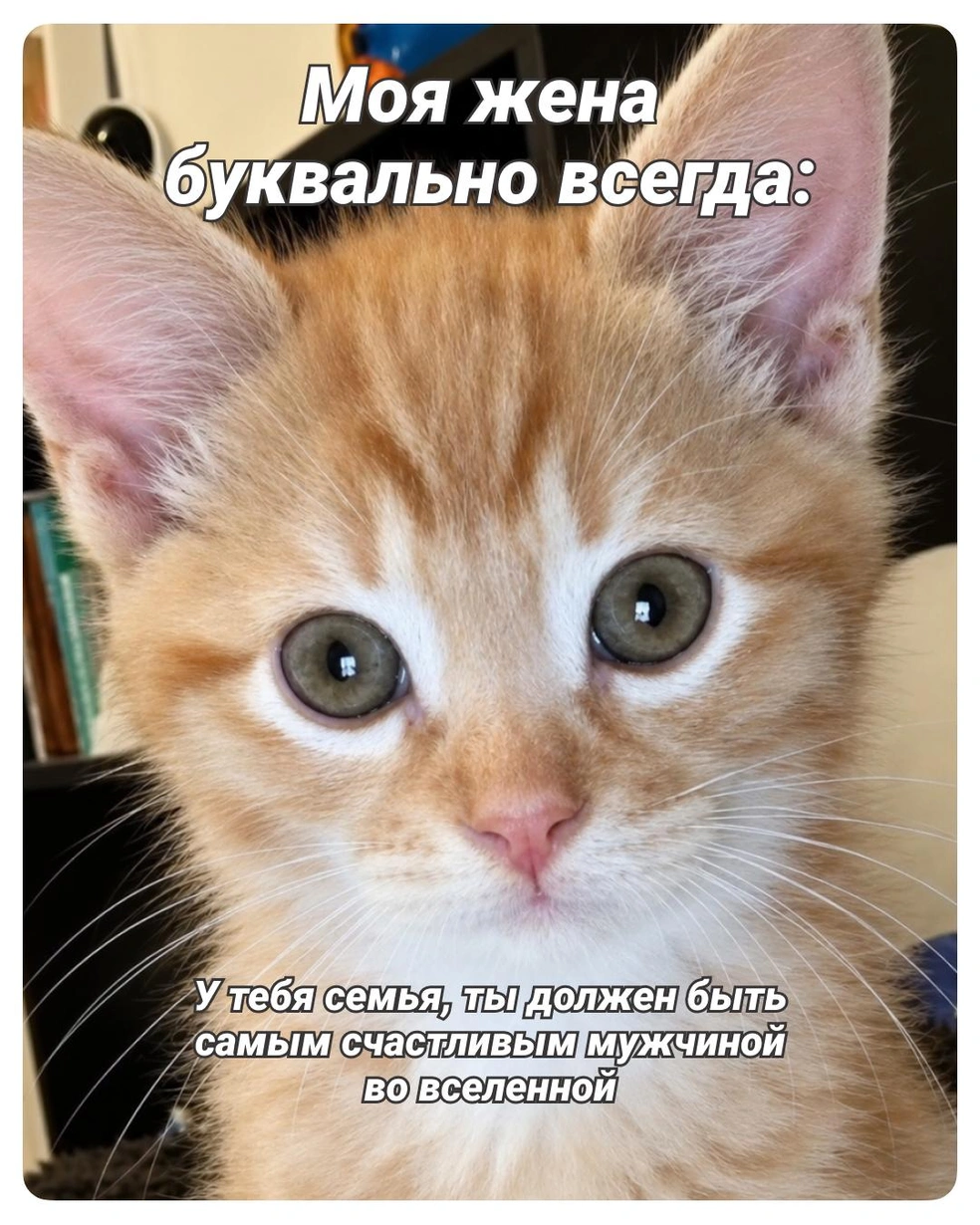 И в чем она не права? | Источник: Городские медиа