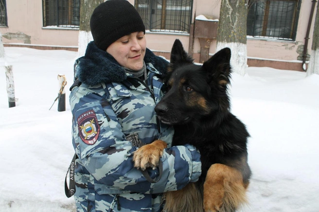 Собаки стали главными звездами мероприятия