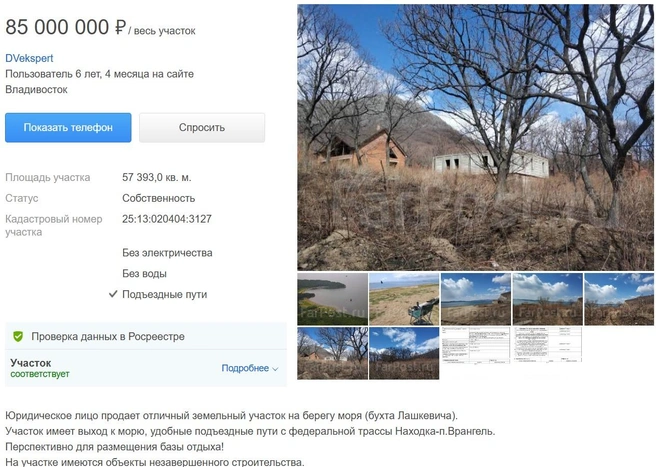 Это не единственное такое объявление | Источник: Farpost.ru