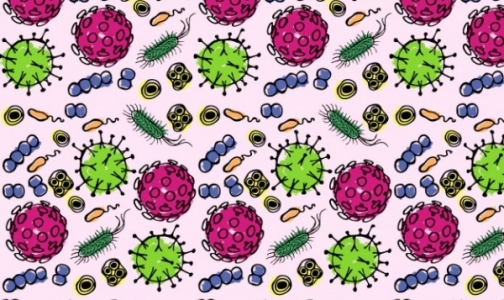 ВОЗ назвала 12 самых опасных для человечества бактерий