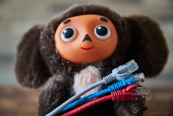 Источник: Александр Ощепков / NGS.RU