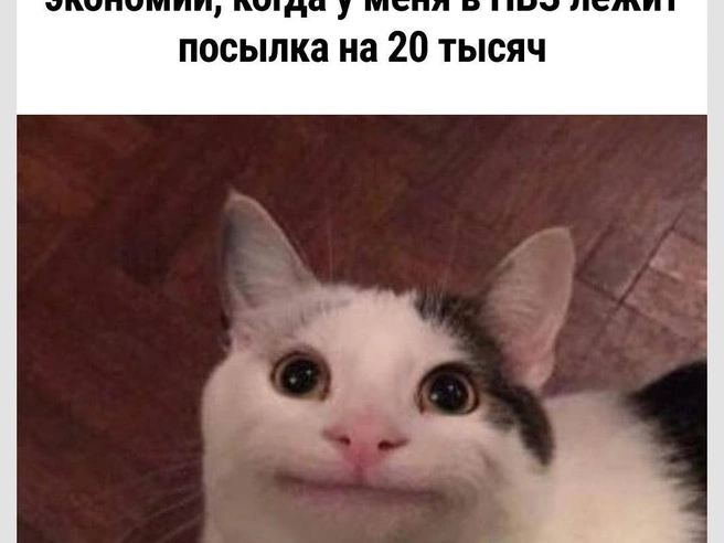 Как сказать-то… | Источник: Городские медиа