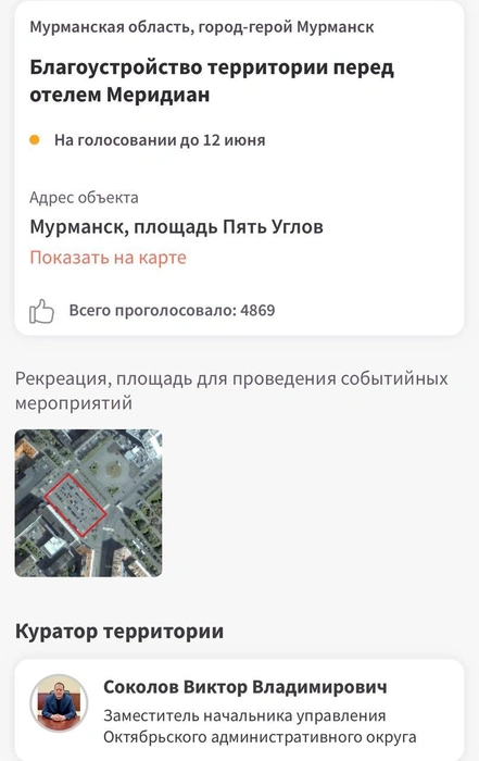 Так выглядит голосование в мобильном приложении | Источник: приложение «Решаем вместе»