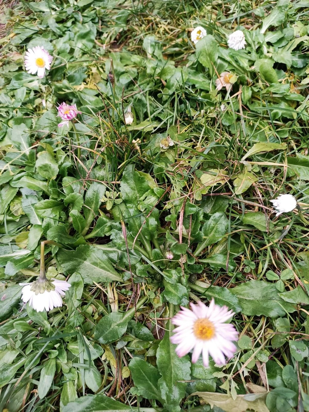 А в комментариях жители накидали еще несколько типично весенних картинок | Источник: Чёрное&Белое Магнитогорск / Vk.com