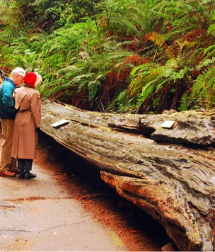 Историк обнаружил смешную мемориальную табличку, посвященную рекурсии