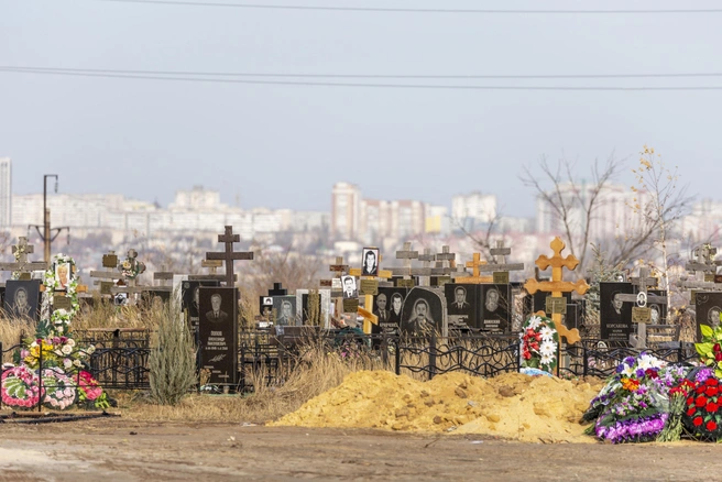 Население в Волгоградской области сокращается стремительными темпами  | Источник: Константин Завриков / V1.RU