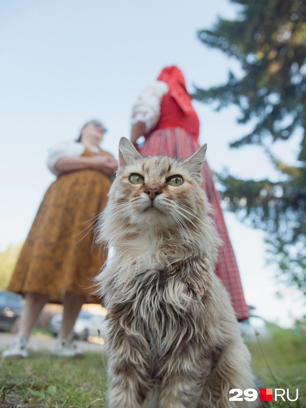 Источник: Иван Митюшев / 29.RU