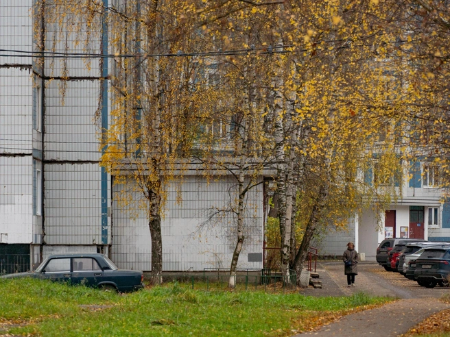 В дворах царит умиротворенная атмосфера | Источник: Кирилл Поверинов / 76.RU