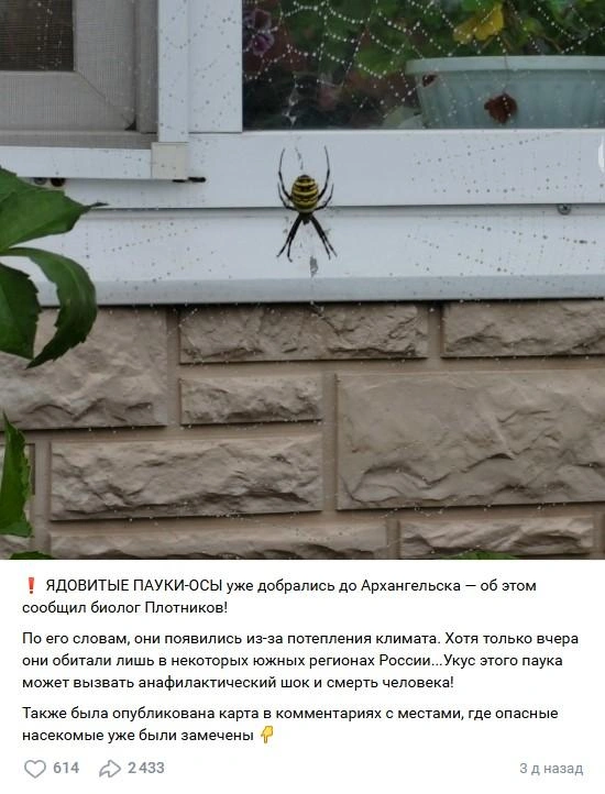 Пост собрал множество репостов | Источник: Скриншот из группы «Архангельск» / Vk.com