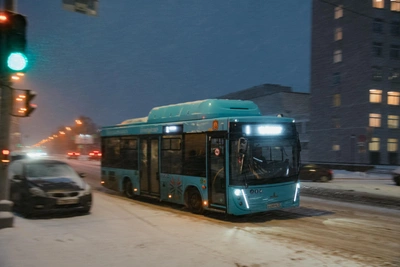 Riko questions Arkhangelsk deputy's hype-driven criticism