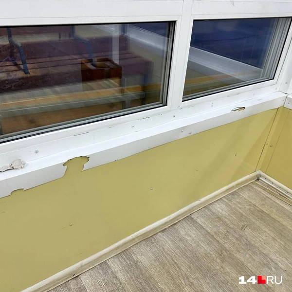 Сколы | Источник: Илья Константинов / 14.RU