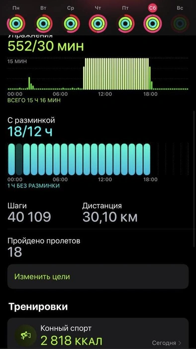 Скриншот смарт-часов  | Источник: Ислам Узденов