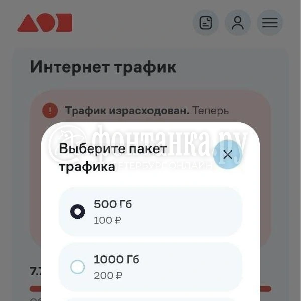 Можно подключить дополнительный пакет трафика | Источник: скриншот личного кабинета «Дом.ру»