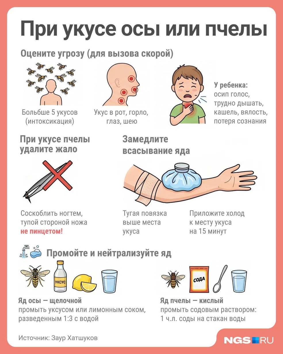 Укус в глаз, рот или горло опасны, потому что отек быстро блокирует дыхательные пути | Источник: Юрий Орлов / Городские медиа