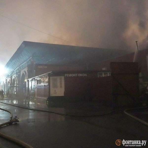 Источник: Павел Даиси / FONTANKA.RU