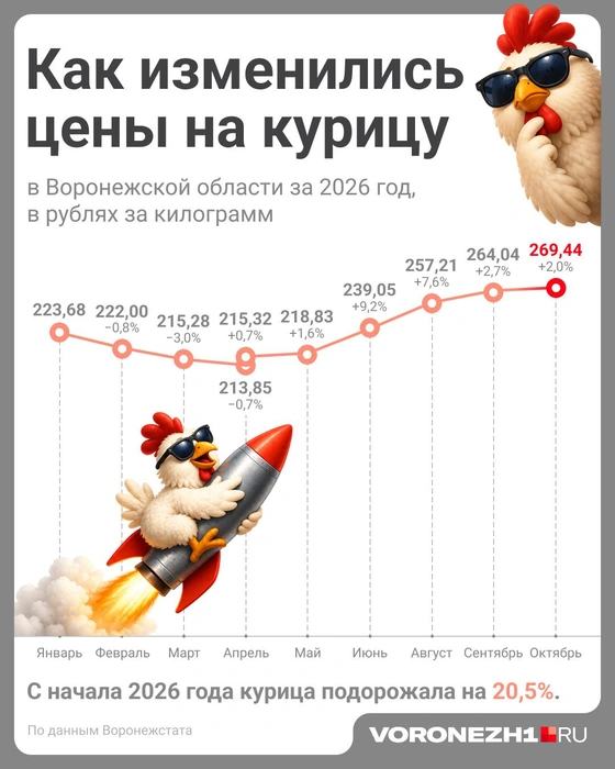 Как менялись цены на курицу в Воронежской области в 2026 году | Источник: Полина Авдошина / Городские медиа