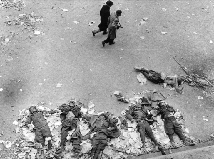 30 октября 1956 года. После захвата повстанцами здания Будапештского горкома ВПТ трупы его защитников лежали на площади перед входом | Источник: Jack Esten/Getty Images