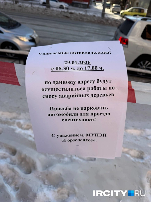 Объявления о сносе аварийных деревьев подписаны муниципальным предприятием «Горзеленхоз» | Источник: читательница «ИрСити»