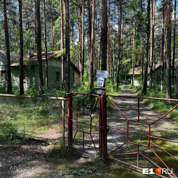Источник: Максим Бутусов / E1.RU