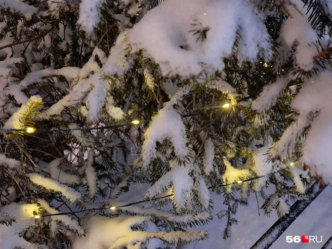 Источник: Анастасия Баринова / 56.RU