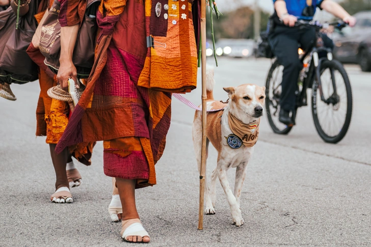 Буддийские монахи идут в Белый дом: паломничество за мир и единство в США