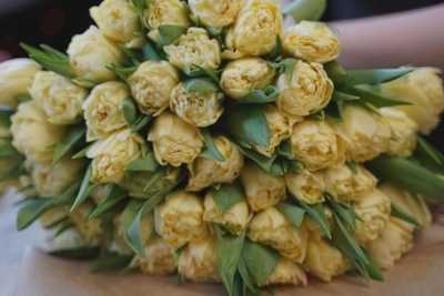 Клавдия Жаркова отметила 100-летие