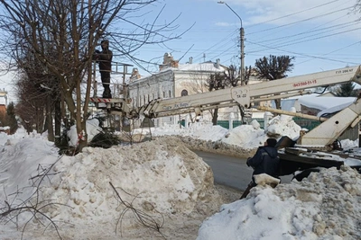 В Костроме стартовала весенняя обрезка деревьев