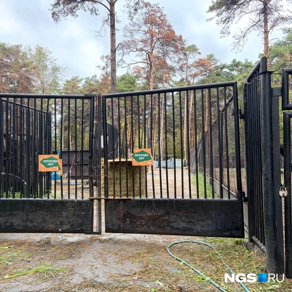 Зону, где произошло ЧП, практически полностью восстановили | Источник: Настасья Медведева / NGS.RU