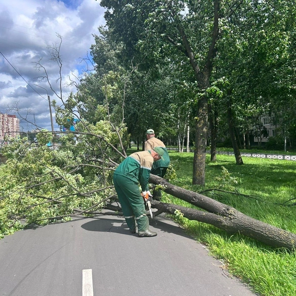 Источник: Комитет по благоустройству Санкт-Петербурга