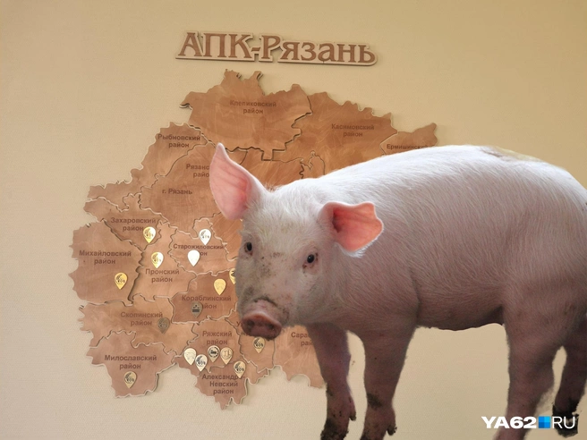 Агропромкомплектация довольно активно занимает новые территории в Рязанской области | Источник: Светлана Коновалова / YA62.RU, Александр Зубов / NGS55.RU