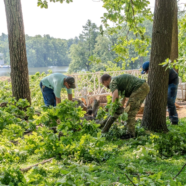 Источник: Пресс-служба музея-заповедника «Царское Село»