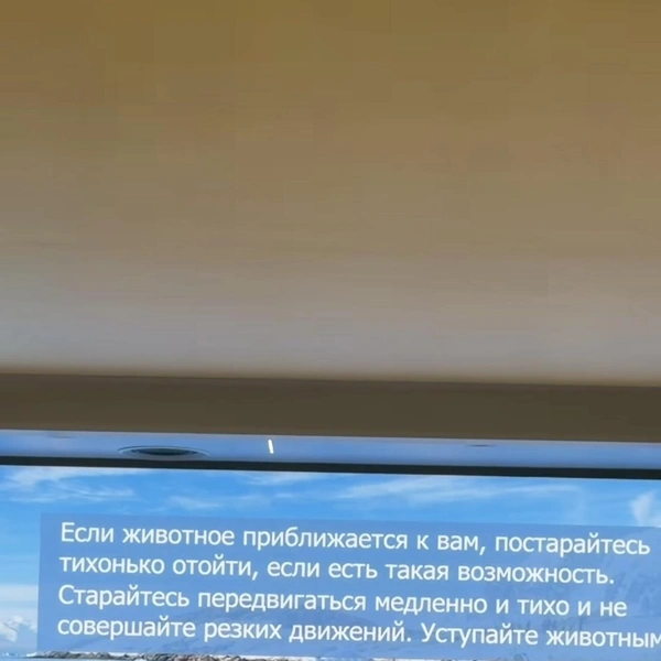 Инструктаж от команды лайнера | Источник: Виктория Фролова/ Instаgram.com*