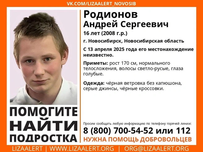 Мальчик пропал два дня назад | Источник: lizaalert_novosib/vk.com