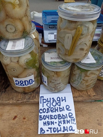 Источник: Иван Митюшёв / 29.RU