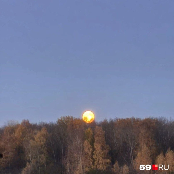 И не скажешь, что кадр пойман в черте города | Источник: читательница 59.RU