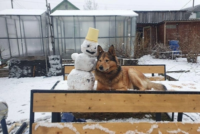 Апрельские снеговики в Архангельской области: фото