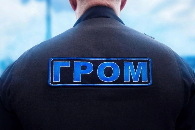 Источник: ассоциация безопасности «Гром»