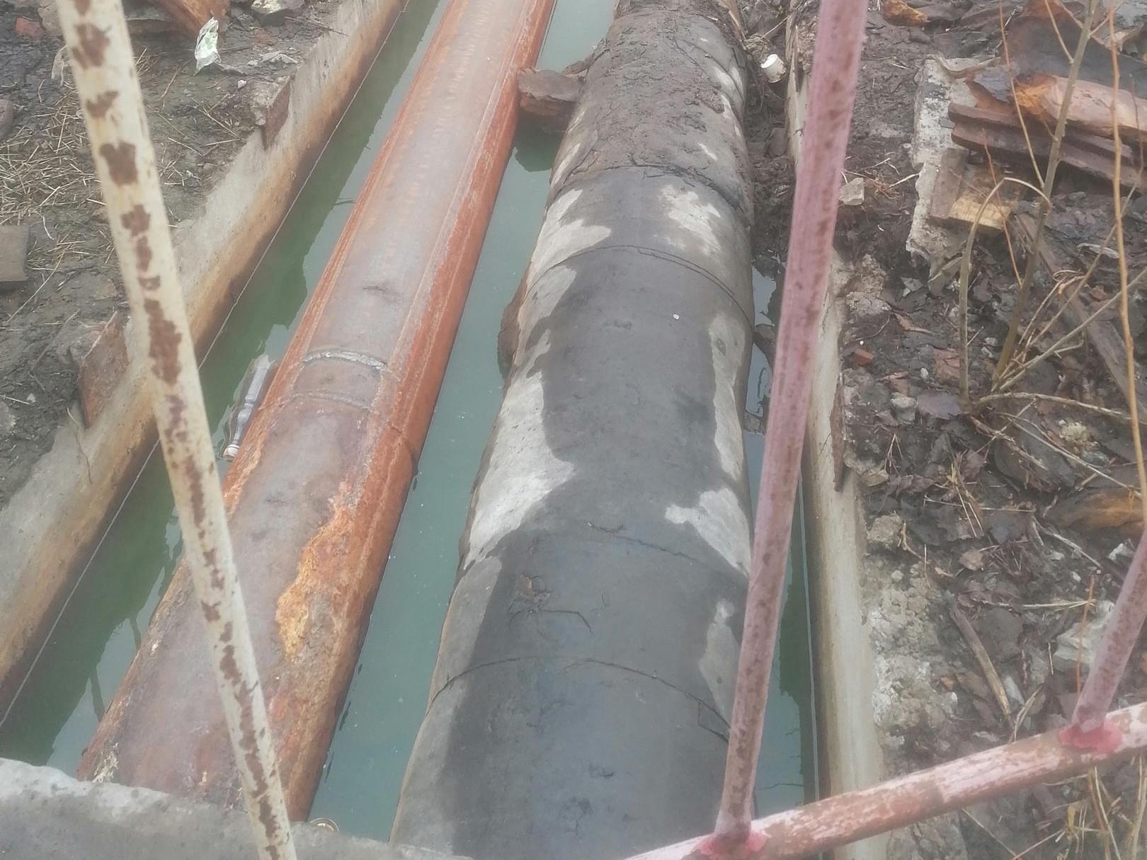 Жители Архангельска заметили странную зеленую воду в реке и на теплотрассе: что это такое