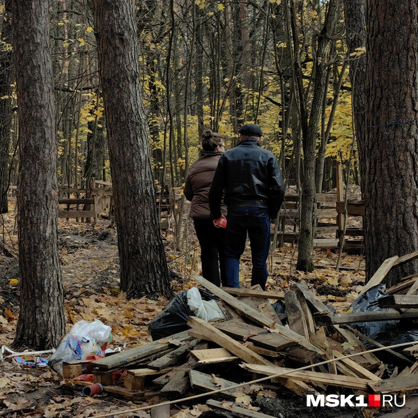 Источник: Дмитрий Бондарев / MSK1.RU