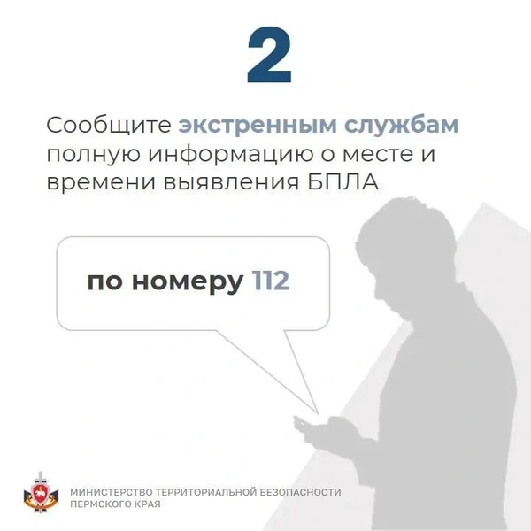 Источник: Министерство территориальной безопасности Пермского края